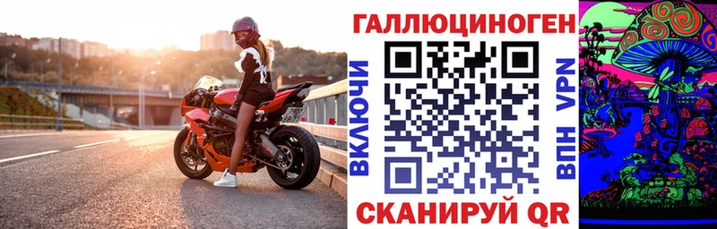блэк спрут ТОР  закладка  darknet как зайти  Галлюциногенные грибы прущие грибы  Южно-Сухокумск 